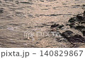 溫柔的海浪拍打著岸邊 140829867