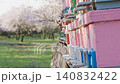 Bees departing and returning to pink beehives in a blooming almond orchard for pollination. Slow motion 140832422