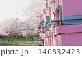 Bees departing and returning to pink beehives in a blooming almond orchard for pollination. Slow motion 140832423