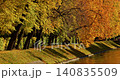 Lebyazhya kanavka embankment to the engineering palace, Trees with yellow leaves of the Summer garden in sunny autumn evening, Russia, Saint Petersburg 140835509