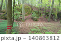 Walking through a forest trail in Hruba Skala, Bohemian Paradise (Cesky raj), Czech Republic. Towering sandstone rock formations line the path in one of the country's most popular hiking destinations. 140863812