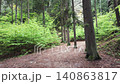 Walking through a forest trail in Hruba Skala, Bohemian Paradise (Cesky raj), Czech Republic. Towering sandstone rock formations line the path in one of the country's most popular hiking destinations. 140863817