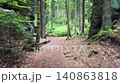 Walking through a forest trail in Hruba Skala, Bohemian Paradise (Cesky raj), Czech Republic. Towering sandstone rock formations line the path in one of the country's most popular hiking destinations. 140863818