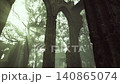 Sunlight streams through towering trees, illuminating the remnants of ancient arches. Nature intertwines with history, creating a serene and mystical atmosphere in the forest. 140865074