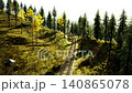 Sunlit forest hillside with wooden tracks, golden aspens and pine clusters casting long shadows across grassy slope calm atmosphere invites slow hike, mindful 140865078