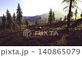 Golden light through sparse pine stand, warm shafts illuminate grassy slope, distant ridgeline softened by haze, imagined ranger patrol scenario focused 140865079