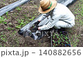 Agriculture: Japanese man planting peanut seedlings Agriculture: Japanese man planting peanut seedlings 140882656