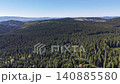 Midday over dense pine plateau, drone cruises above endless conifer canopy with crisp sunlight, ideal 140885580