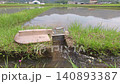 Agricultural irrigation canals flowing through rice paddies before rice planting. 140893387