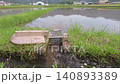 Agricultural irrigation canals flowing through rice paddies before rice planting. 140893389