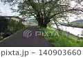 April 29 2026 Shiroishi River Bank Senbonzakura Blossoms 140903660