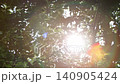 Shining sunlight shining through trees and leaves swaying in a gentle breeze, relaxing rest and beautiful nature loop video, bird sound ASMR 140905424