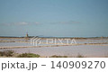 Gorgeous nature of the Saline di Trapani e Paceco wetlands, salt, Sicily, 4k 140909270