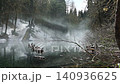 A mystical mirrored lake with flooded logs and branches 140936625