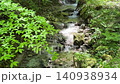 新緑の森を流れる小さな沢 金剛山 140938934