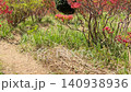 一目百万本 葛城山ツツジの谷 パン 140938936