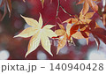 Autumn leaves tree 140940428