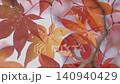 Autumn leaves tree 140940429