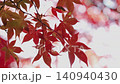 Autumn leaves tree 140940430