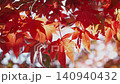 Autumn leaves tree 140940432