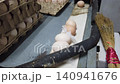 Quality Inspection of Fresh Chicken Eggs by Worker Wearing Protective Gloves 140941676