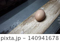Quality Inspection of Fresh Chicken Eggs by Worker Wearing Protective Gloves 140941678