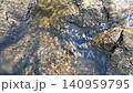 Water Flowing Over Moss-Covered Rocks in Shallow Stream 140959795