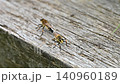 Shioyab 140960189