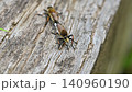 Shioyab 140960190