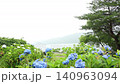 Hydrangea with rain 140963094