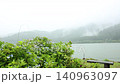 Hydrangea with rain 140963097