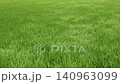 Wind blowing on rice fields 140963099