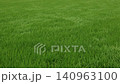 Wind blowing on rice fields 140963100