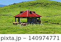 Aka no Oka Cattle 140974771