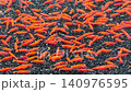 4K Large group of bright red cherry shrimp inside freshwater aquarium 140976595