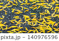 4K Swarm of vibrant yellow shrimp moving on black gravel substrate 140976596