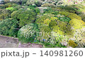 Top down aerial view of a dense, lush tropical forest canopy with various shades of green, revealing the intricate patterns of leaves and branches from a bird's eye perspective at Dedjawatan, Banyuwan 140981260