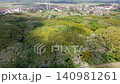 Top down aerial view of a dense, lush tropical forest canopy with various shades of green, revealing the intricate patterns of leaves and branches from a bird's eye perspective at Dedjawatan, Banyuwan 140981261