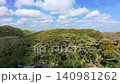 Top down aerial view of a dense, lush tropical forest canopy with various shades of green, revealing the intricate patterns of leaves and branches from a bird's eye perspective at Dedjawatan, Banyuwan 140981262