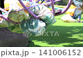Child walking on a lush green lawn in a sunny park during a bright summer afternoon outdoor session 141006152