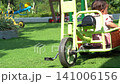 Child walking on a lush green lawn in a sunny park during a bright summer afternoon outdoor session 141006156