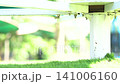 Child walking on a lush green lawn in a sunny park during a bright summer afternoon outdoor session 141006160