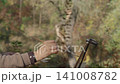 The artist stands at the easel in the process of painting a forest landscape with watercolor 141008782