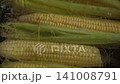 Top view, corn boiling in a metal pot on the stove 141008791