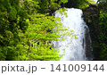 Shirataki Waterfall in Naso, Akita Prefecture: A waterfall cascading down amidst the fresh greenery. 141009144