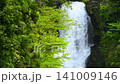 Shirataki Waterfall in Naso, Akita Prefecture: A waterfall cascading down amidst the fresh greenery. 141009146