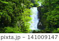 Shirataki Waterfall in Naso, Akita Prefecture: A waterfall cascading down amidst the fresh greenery. 141009147