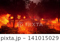 forest fires in the dark 141015029