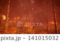 intense forest fire ground burning birch trees disastrous wildfire background 141015032
