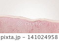 3DCG video demonstrating anti-aging skincare that improves wrinkles and sagging by activating dermal elastin. 141024958